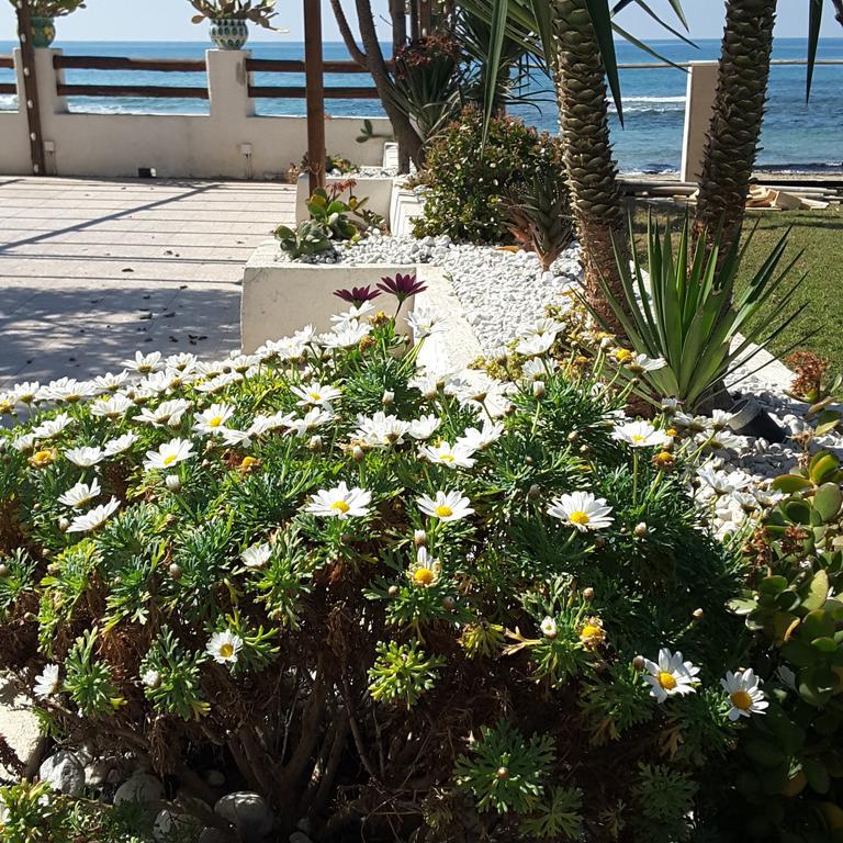 Hotel Il Faro Acciaroli Esterno foto